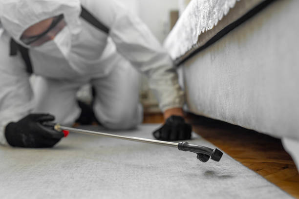 Professional Cockroach Control technician working in K. I. Sawyer, MI