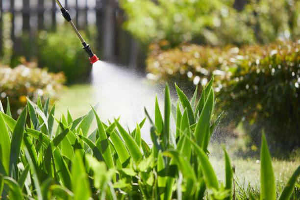 24/7 Emergency Cockroach Control experts in K. I. Sawyer, MI