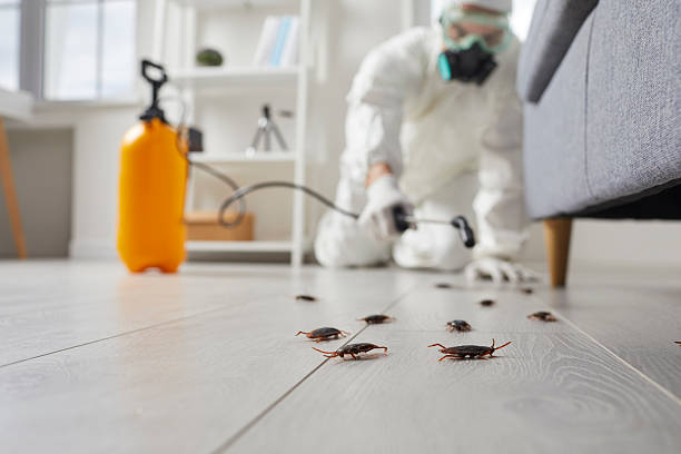 Trusted Emergency Pest Control service in K. I. Sawyer, MI - Nex Pest Control