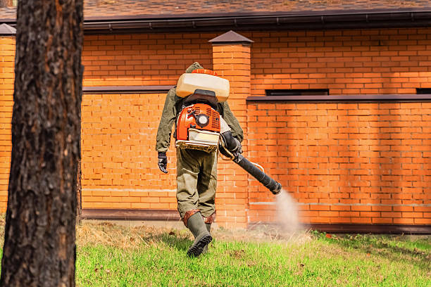 Trusted Cockroach Control service in K. I. Sawyer, MI - Nex Pest Control